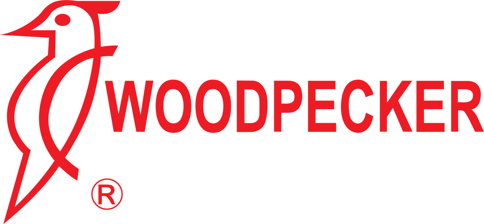 Woodpecker PTE logo — trusted dental equipment brand for precision tools and devices.